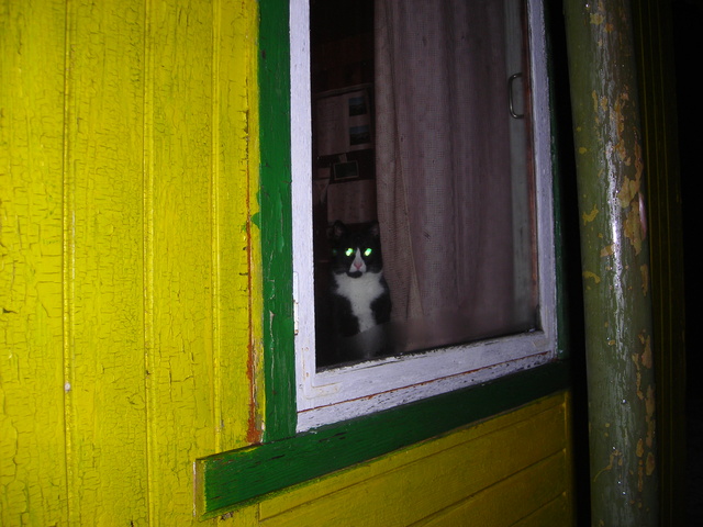 21_ jaanuar2007_006