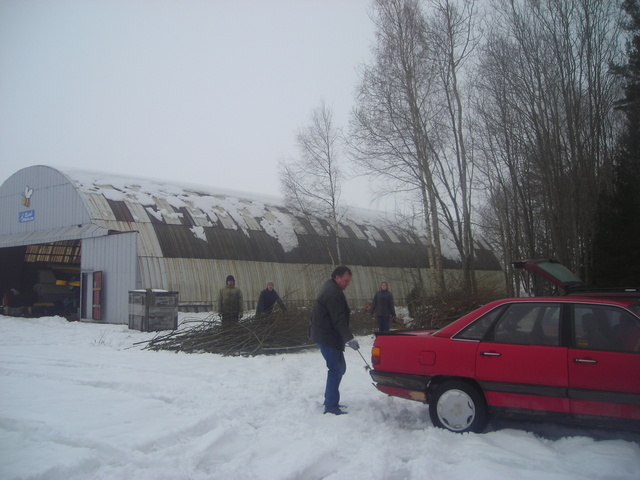 Appi tuli metsa väljaveo Audi.