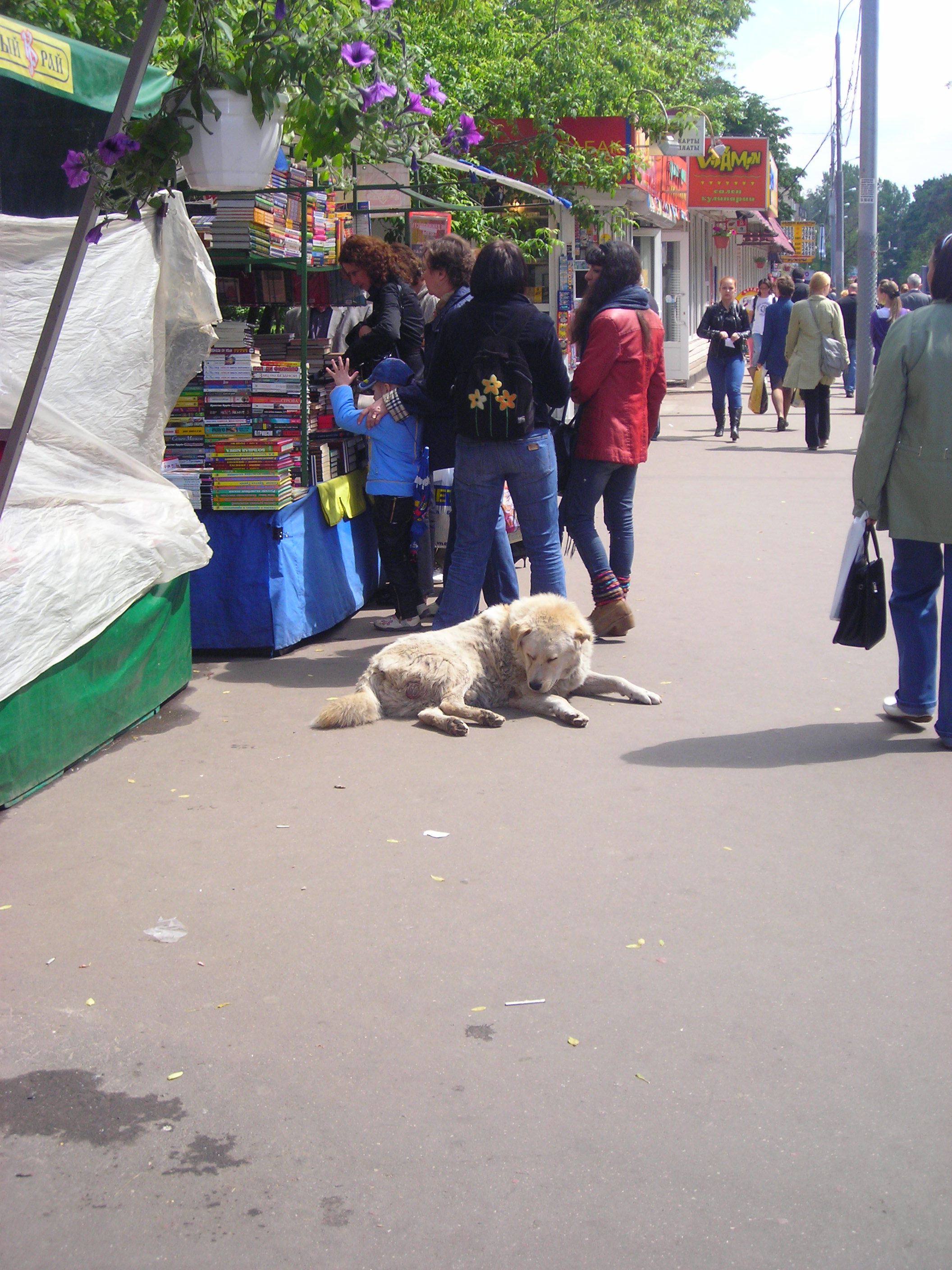 Hulkuv metrookoer.