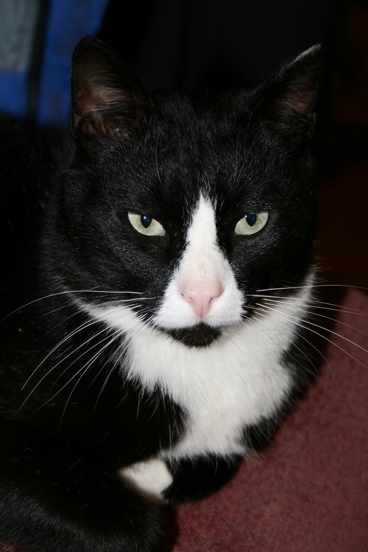 "Tegelikult on mul nendega vedanud ja neil minuga ka"