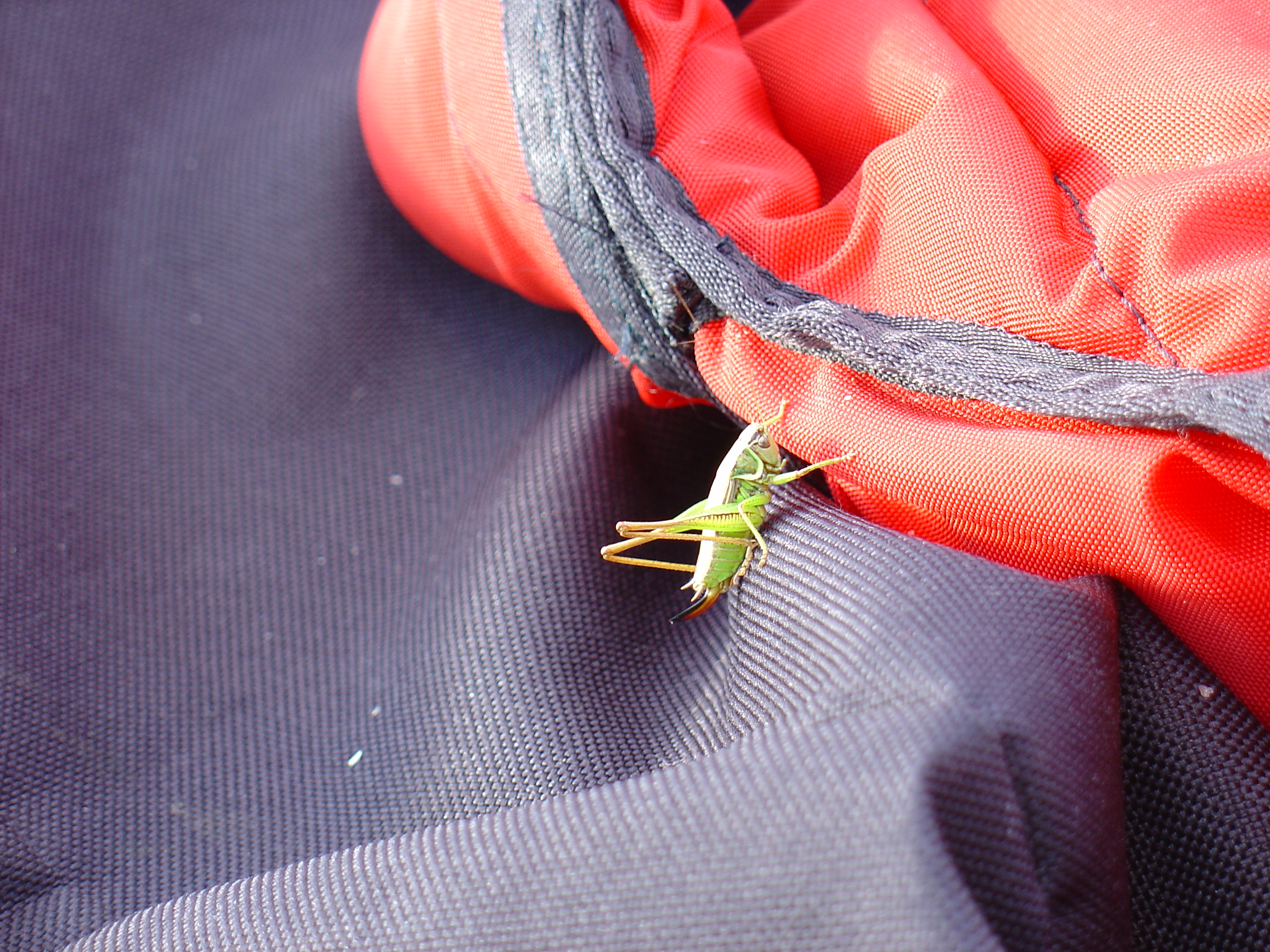 DSC01565.JPG