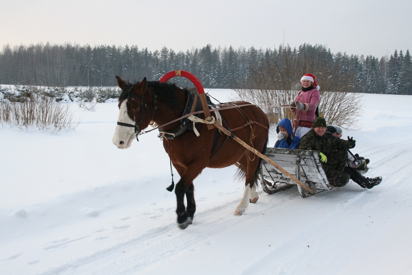 ning tore saanisõit algas