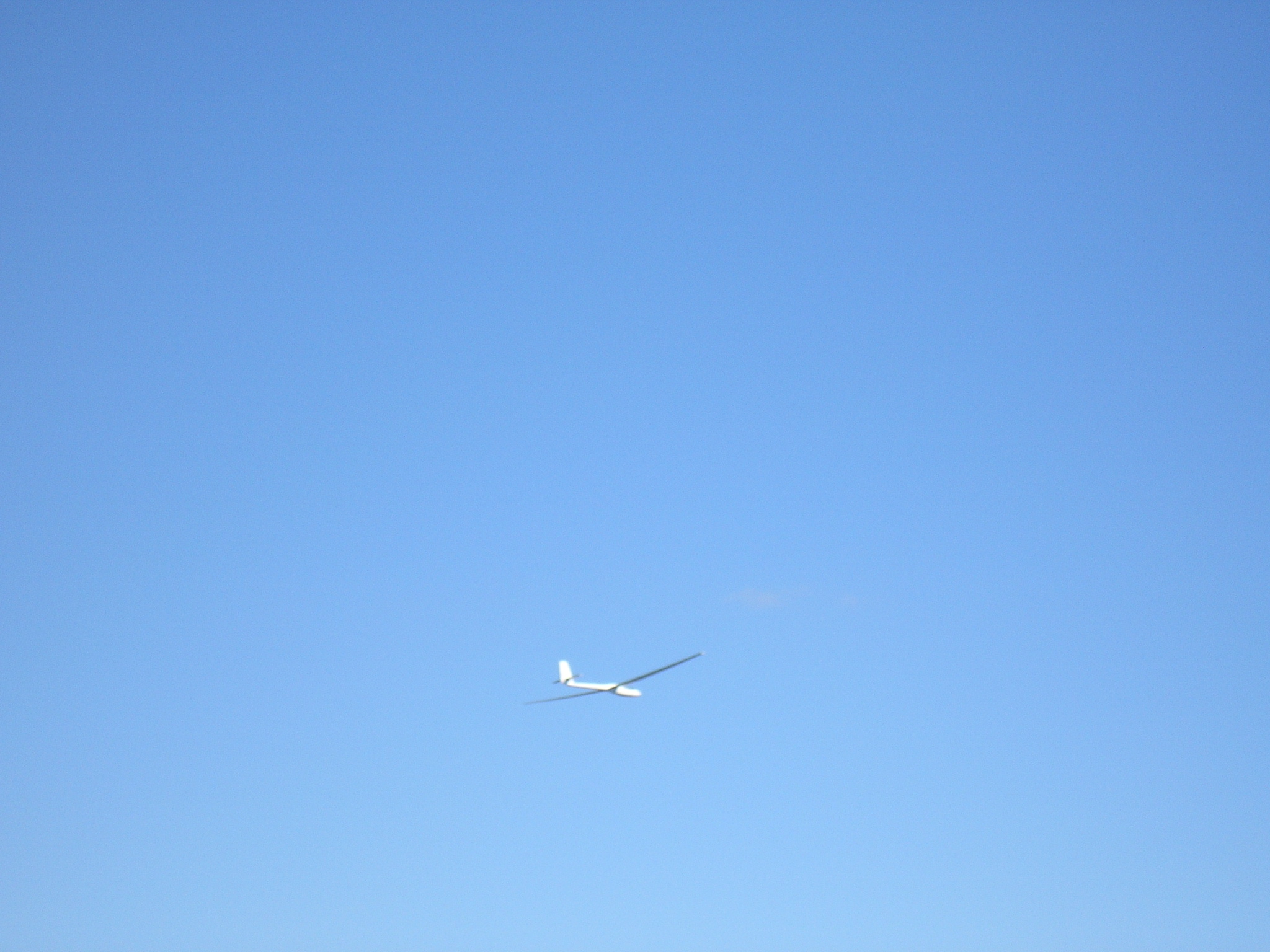P8203128