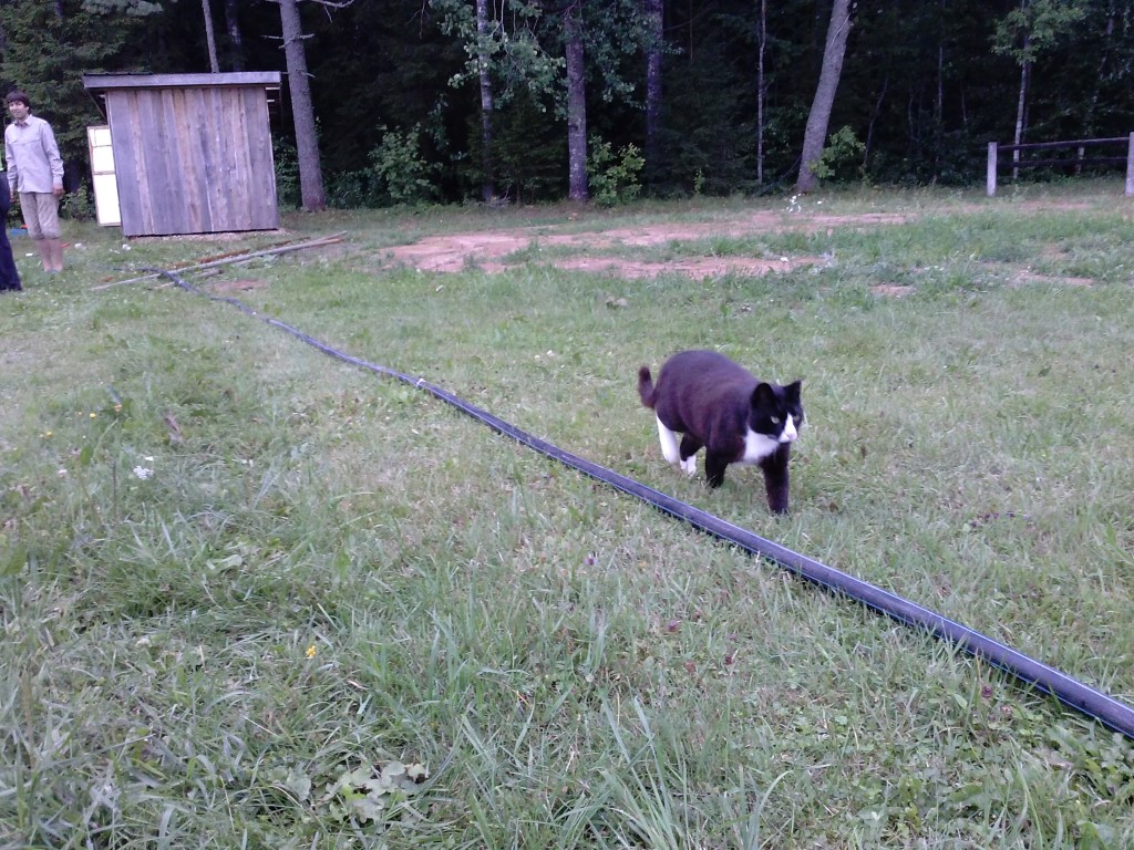 ...mõõdeti välja (101 Korsaari)...