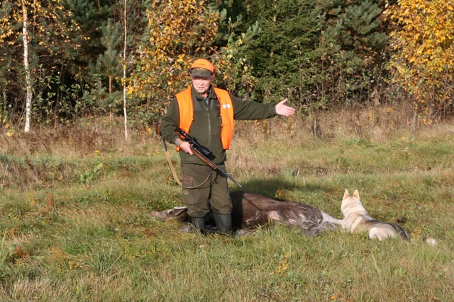 Jahimehed tegid aju üle lennuvälja ja hukkasid põdra